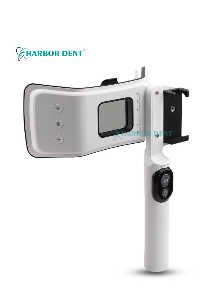 Good Lighting In Photography - Kit Flash Doppio per Fotografia Dentale