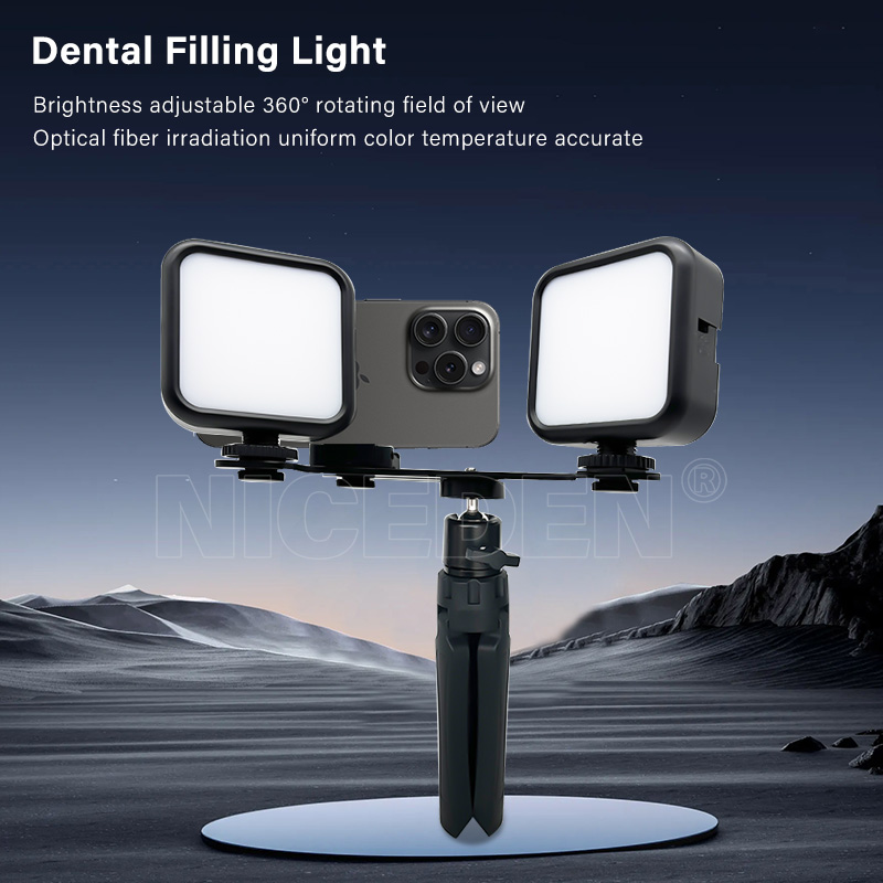 Torcia portatile Niceden per f - Photography Lighting Portable recensione e prezzo