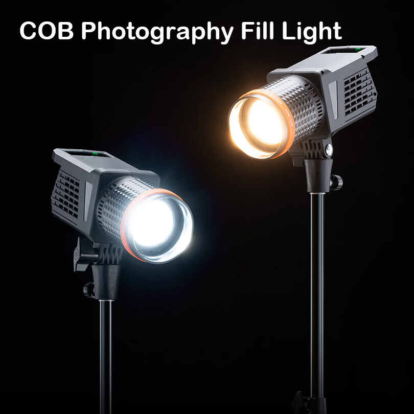 Lampada a LED da 40 W 3000 k-6 - Photography Lighting For Portraits recensione e prezzo